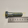Болт М16*2*60 (8,8)(уп. 10 шт)