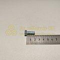 Болт М8*1,25*20 шкив помпы отражателя (РЗИ)(уп. 10 шт)
