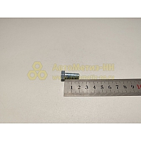 Болт М8*1,25*20 шкив помпы отражателя (Кр. Этна)(уп. 20 шт)