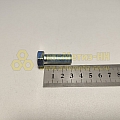Болт М12*1,25*30 звездочки р вала (РЗИ)(уп. 10 шт)