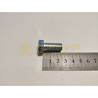 Болт М12*1,75*25 подушки двигателя (Кр.Этна)(уп. 10 шт)