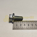 Болт М12*1,75*25 с фланцем EN1662 (8.8) (Кр.Этна)(уп. 10 шт)