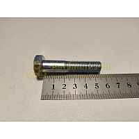 Болт М12*1,5*55 (DIN 960) (РААЗ)(уп. 10 шт)