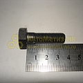 Болт М10*1,25*35 коренной шейки самоконтр. (БелЗАН)(уп. 10 шт)
