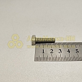 Болт М6*1*25 с квадрат. головой (БелЗАН)(уп. 20 шт)