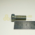 Болт М12*1,25*30 звездочки р вала (Кр.Этна)(уп. 10 шт)