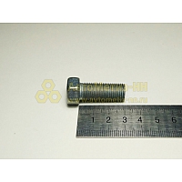 Болт М12*1,25*30 звездочки р вала (Крепёж Машин)(уп. 10 шт)