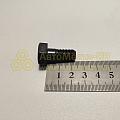Болт М10*1,25*23,5 крепления маховика (БелЗАН)(уп. 10 шт)