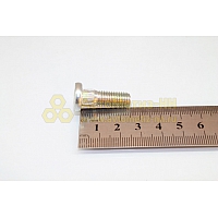 Болт М8*1,25*25 верхней чашки стойки (Крепёж Машин)(уп. 10 шт)