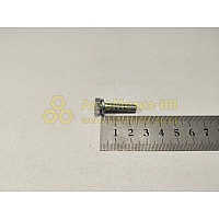 Болт М6*1*25 хомута воздушного фильтра (БелЗАН)(уп. 50 шт)