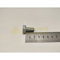 Болт М10*1,25*20 крепления кроншт.генератора (8,8) (Крепёж Машин)(уп. 10 шт)