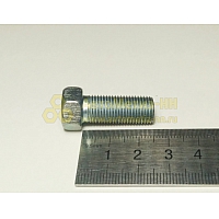 Болт М10*1*25 кардана  УАЗ гол. (Крепёж Машин)(уп. 10 шт)