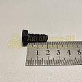 Болт М8*1,25*20 петли капота (черный) 2121 (БелЗАН)(уп. 20 шт)