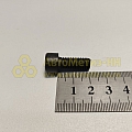 Винт М8*1,25*21 внутр. шестигран. клапана рециркуляции (БелЗАН)(уп. 20 шт)