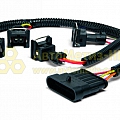 Жгут форсунок Г-3302-Бизнес (Евро 3) CARGEN