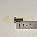 Болт-штуцер М10*1*22 топливной трубки дв. ЯМЗ(уп. 10 шт)