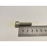 Винт М8*1,25*30 внутр. шестигран. крышки цепи 406 дв. (Крепёж Машин)(уп. 20 шт)
