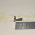 Болт М8*1,25*20 нерж.(уп. 10 шт)