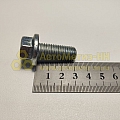 Болт М12*1,75*30 с фланцем EN1662 (10.9) (Кр.Этна)(уп. 10 шт)