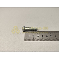Болт М8*1,25*30 корзины сцепления (Кр.Этна)(уп. 20 шт)