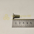 Винт М8*1,25*20 потай. крест. двери (РЗИ)(уп. 20 шт)