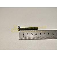 Винт М6*1*45 цилиндр. крест. поручня 2105 (БелЗАН)(уп. 50 шт)