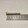 Винт М6*1*55 цилиндр. крест. поручня (РЗИ)(уп. 20 шт)
