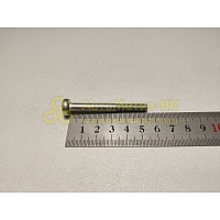 Винт М6*1*55 цилиндр. крест. поручня 2110 (БелЗАН)(уп. 20 шт)