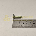 Винт М8*1,25*25 потай. крест. двери, КПП (РЗИ)(уп. 20 шт)