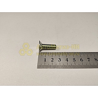 Винт М8*1,25*25 потай. крест. двери, КПП (БелЗАН)(уп. 20 шт)