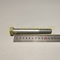 Болт М16*1,5*120 кронш.опор.дв.раз.кор. (10,9) (РЗИ)(уп. 10 шт)