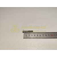 Болт М6*1*35 крепления успокоителя(пластмас.) ВАЗ (БелЗАН)(уп. 20 шт)