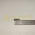 Болт М6*1*25 с гровером (РЗИ)(уп. 20 шт)