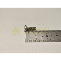 Винт М6*1*20 цилиндр. крест. поручня 2101,стартера (БелЗАН)(уп. 20 шт)