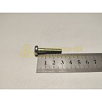 Винт М6*1*30 цилиндр. крест. поручня 2101 (БелЗАН)(уп. 20 шт)