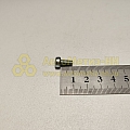 Винт М5*10 цилиндр. крест. ручки двери (РЗИ)(уп. 50 шт)