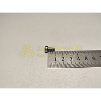 Винт М5*10 цилиндр. крест. ручки двери ВАЗ (БелЗАН)(уп. 50 шт)