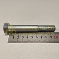 Болт М14*2*100 (8,8) (РЗИ)(уп. 10 шт)