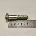 Болт М14*2*60 (8,8) (РЗИ)(уп. 10 шт)