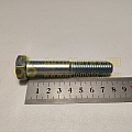 Болт М14*2*80 (8,8) (РЗИ)(уп. 10 шт)