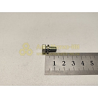 Болт М6*1*12 зад. торм. цилиндра с гровером ВАЗ (БелЗАН)(уп. 20 шт)