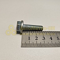 Болт М8*1,25*30 с фланцем EN1665 (8.8)(уп. 20 шт)