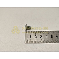 Винт М6*1*10 полупотай. крест. крепл.замка двери (БелЗАН)(уп. 50 шт)