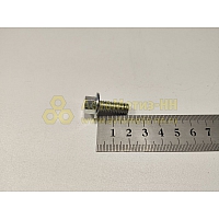 Болт М8*1,25*20 с фланцем пальца напр.суппорта (Кр. Этна)(уп. 20 шт)