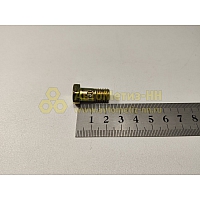 Болт М10*1,25*23 кр.обратки,крана упр.Дел.пер. 4310,5320(уп. 20 шт)
