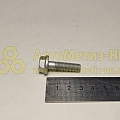 Болт М8*1,25*30 с фланцем (БелЗАН)(уп. 20 шт)