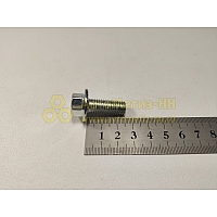 Болт М10*1,5*25 с фланцем EN1662 (8.8) (Кр.Этна)(уп. 10 шт)
