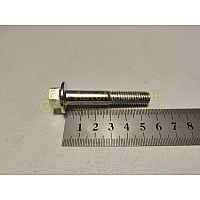 Болт М10*1,5*55 с фланцем EN1662 (10.9) (Кр.Этна)(уп. 10 шт)