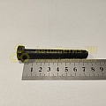Болт М10*1,25*75 маслян.насоса (10,9) (РЗИ)(уп. 10 шт)