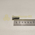 Болт М8*1,25*20 кронштейна бампера (8,8) (РЗИ)(уп. 20 шт)